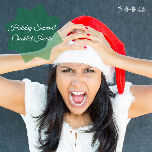 Holiday Survival Checklist